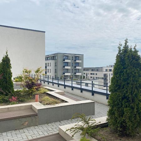 Astoria Apartment - Pet Friendly 브라쇼브 외부 사진