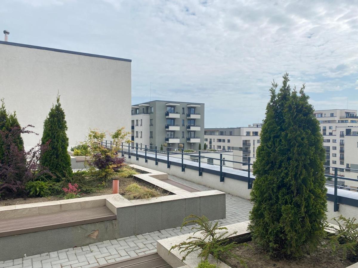 Astoria Apartment - Pet Friendly 브라쇼브 외부 사진