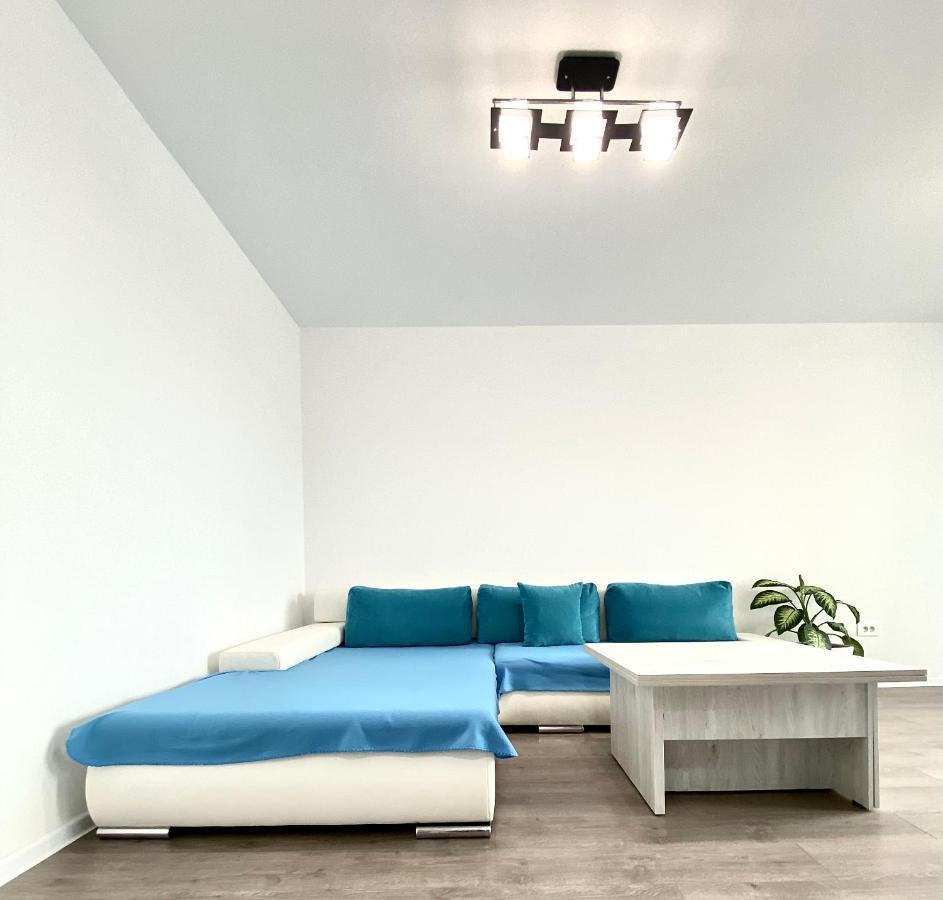 Astoria Apartment - Pet Friendly 브라쇼브 외부 사진