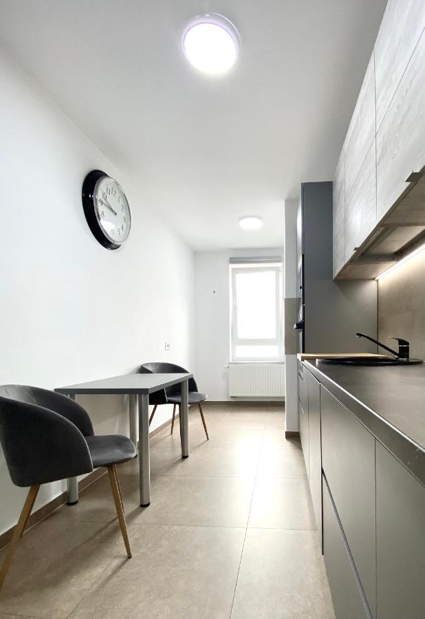 Astoria Apartment - Pet Friendly 브라쇼브 외부 사진